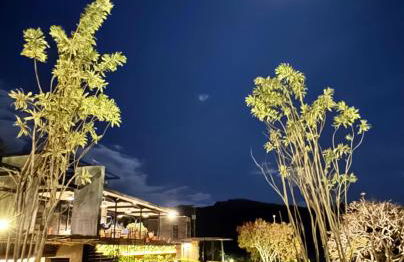 Alta Canastra - Foto 60