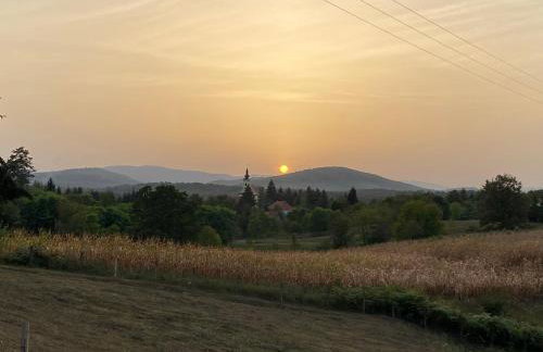 Mrežnica - Zelena oaza I - Foto 37