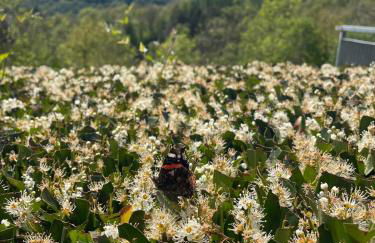 Cà del Restel - Foto 49