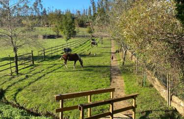 Vale da Silva Villas - Quinta - Foto 29