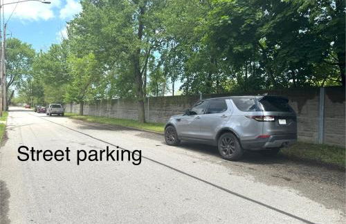 Sleep with a Lion!! 6 bedroom house, near downtown, Ohio city Tremont! - Foto 33