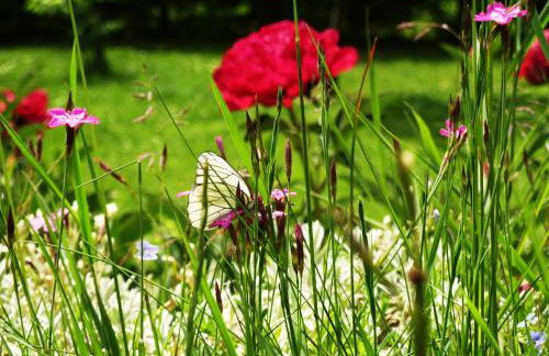 Chalet * Lioutraz * - Photo 11