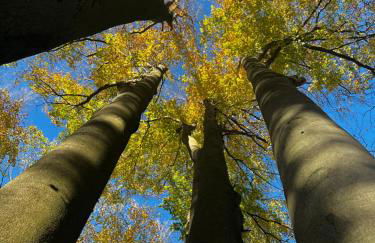 Apartment zum Aatal - Foto 12