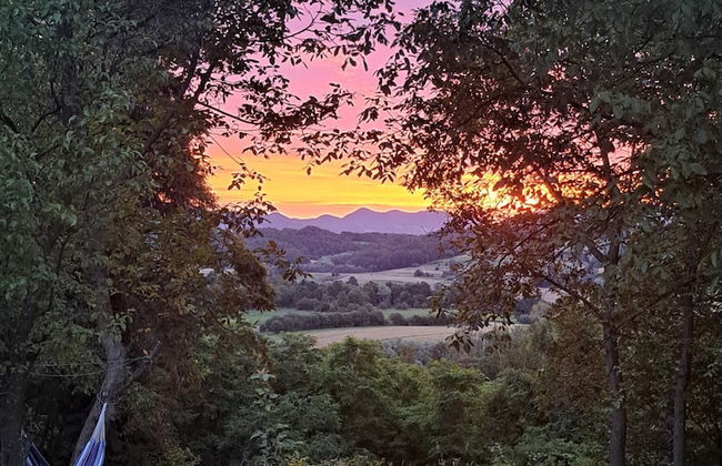 Kokotova Hiža - Foto 42