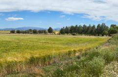 Casa rural ‘’La Nuestra’’ - Foto 75