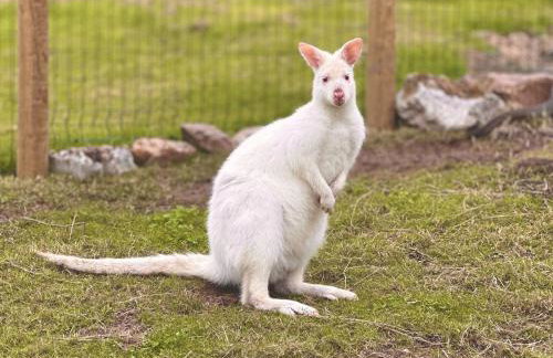 Parlour Barn - Photo 58