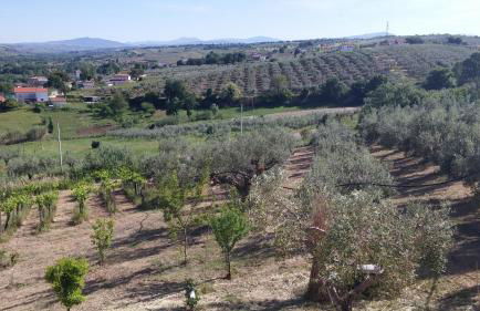 Domus Quarticelli Costa dei Trabocchi - Foto 73