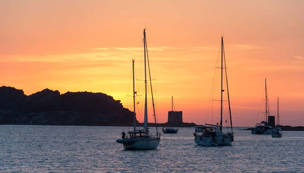 Balade en catamaran au coucher du soleil dans le golfe de l'Asinara - Photo 5