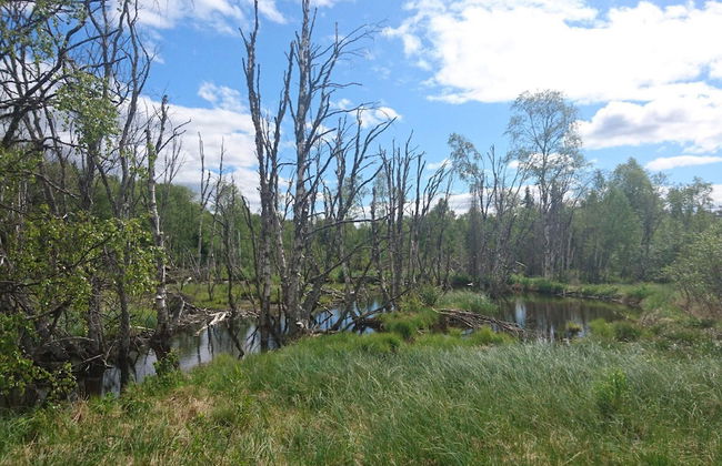 Charming Red Farmhouse Near Forsheda - Photo 9