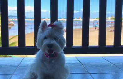 Casa Rio - 04 Quartos de Frente para o Mar - Foto 33