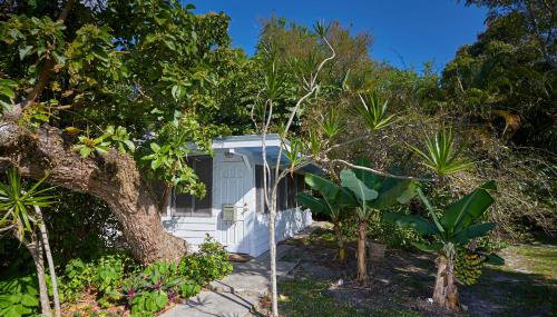 Miami Pool Cottage, tropical garden paradise - Foto 4, Garden, Garden view