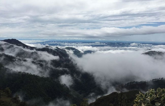 Veenu's Cottage - Foto 61