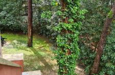 La Casa del mare - Photo 15