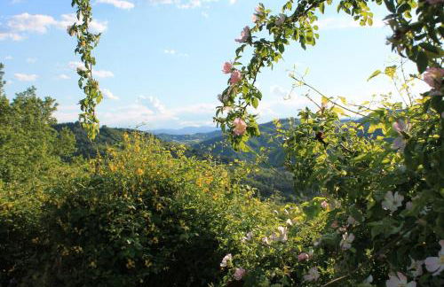 Country House Il Biroccio - Foto 36