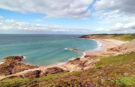 Les pins 205 - Appt 400m de la plage - Foto 15