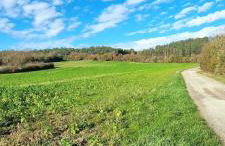 Studette avec terrasse Comme à la maison - Foto 20