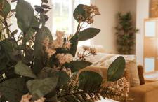 La casa de Claudia - Foto 5