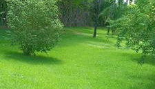 Nosso Cantinho Delfinópolis Serra da Canastra - Photo 5