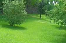 Nosso Cantinho Delfinópolis Serra da Canastra - Photo 5