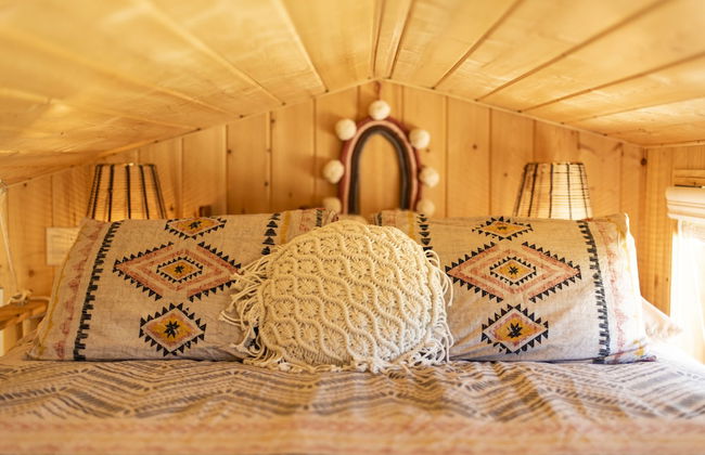 Boho Beaver - Foto 3