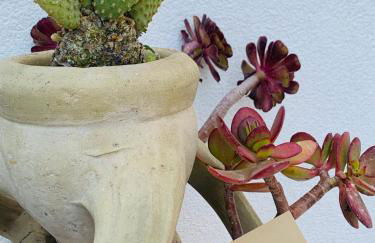 CasaTeresa mare - Foto 45