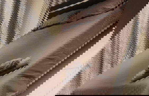 Bula Bliss - Photo 22