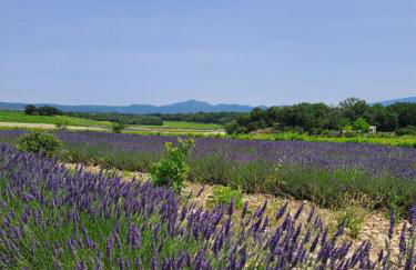 Villa Les Fuseaux Grignan - Foto 37
