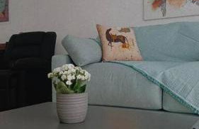 Φρίντα στο κέντρο της Ορεστιάδας - Foto 22