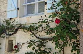 Entire apartment with swimming pool near Aubeterre - Foto 6