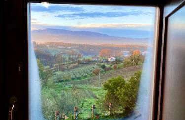 Donna Vittori - Borgo Agricolo - Foto 57