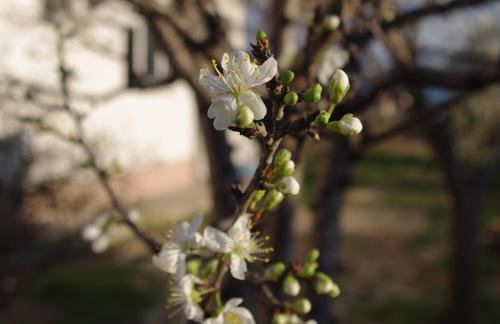 Apartment LuMaGo - Photo 38