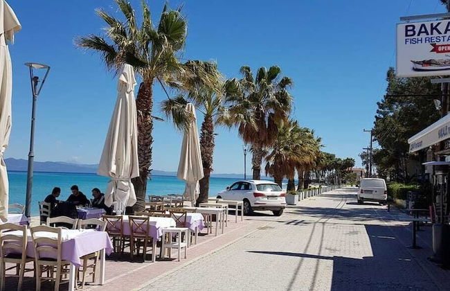 Kripis House - Photo 69