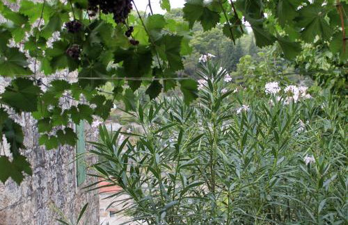 Holiday house with WiFi Dol, Brac - 5674 - Photo 23