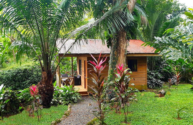 Cabinas Costa Tropicana - Foto 4