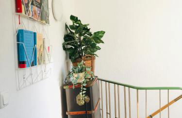 Eifel-House - FeWo - Foto 40