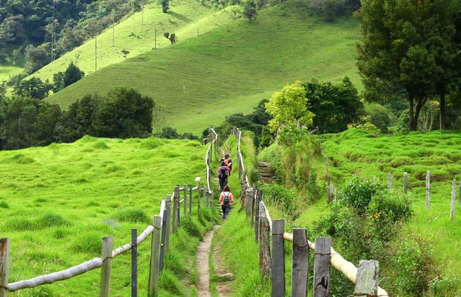Senderismo por el Valle de Cocora - Foto 5