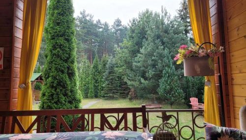 Zielony Domek - Tleń Bory Tucholskie - Foto 3