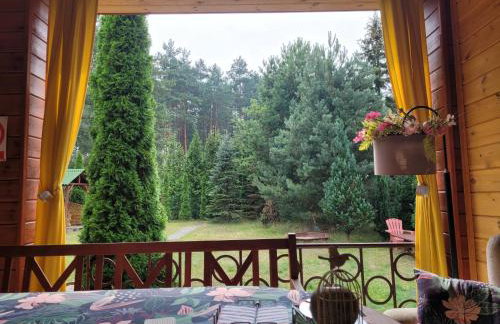 Zielony Domek - Tleń Bory Tucholskie - Foto 3