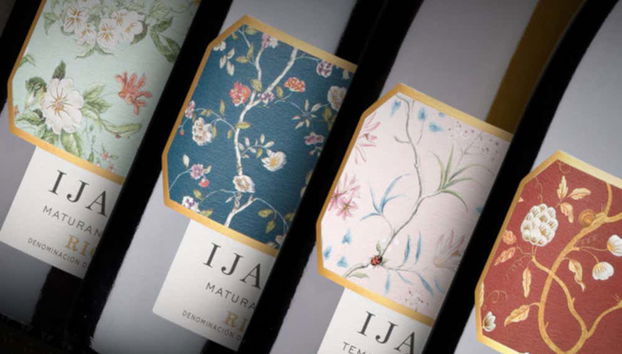 Viña Ijalba Winery Tour & Tasting - Foto 3