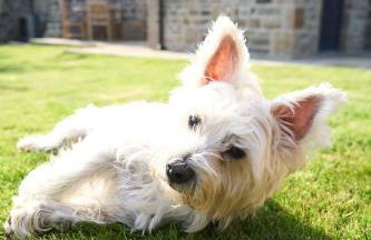 The Reading Rooms - Foto 11