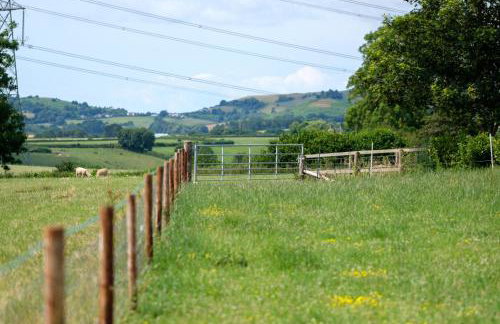 The Acorn - Luxury Shepherds Hut hot tub panoramic views - Foto 44