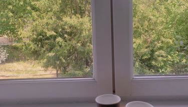 Sezane - Foto 4, Garden