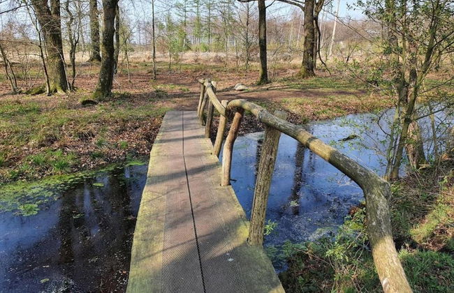 Holiday Home Mantinge Near Nature Reserve - Foto 27