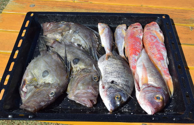 Apartments Valentina-B - Foto 57