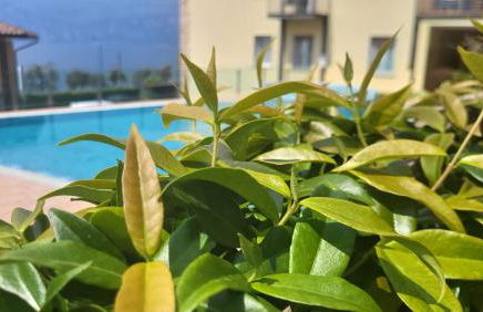 Residence Rosemary - Foto 10