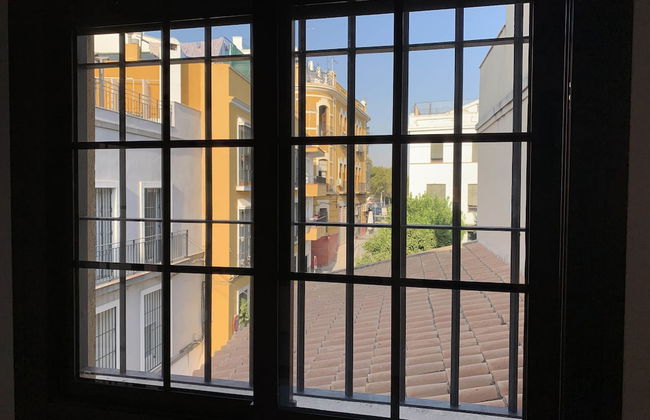 Luz y tranquilidad junto al Guadalquivir - Foto 13