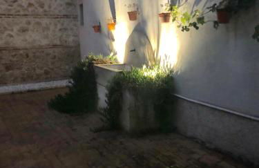 El Patrón - Foto 15