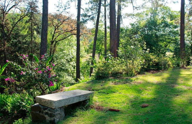 Country House In The Woods With River - Foto 28