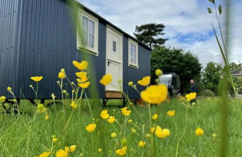 Shepherdshut-hot Tub-cotswolds-petfriendly - Photo 61