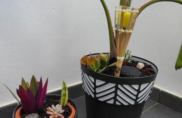 Marta & Lorenzo Apartment. Fuerteventura - Foto 7